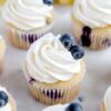 Blueberry Cupcakes